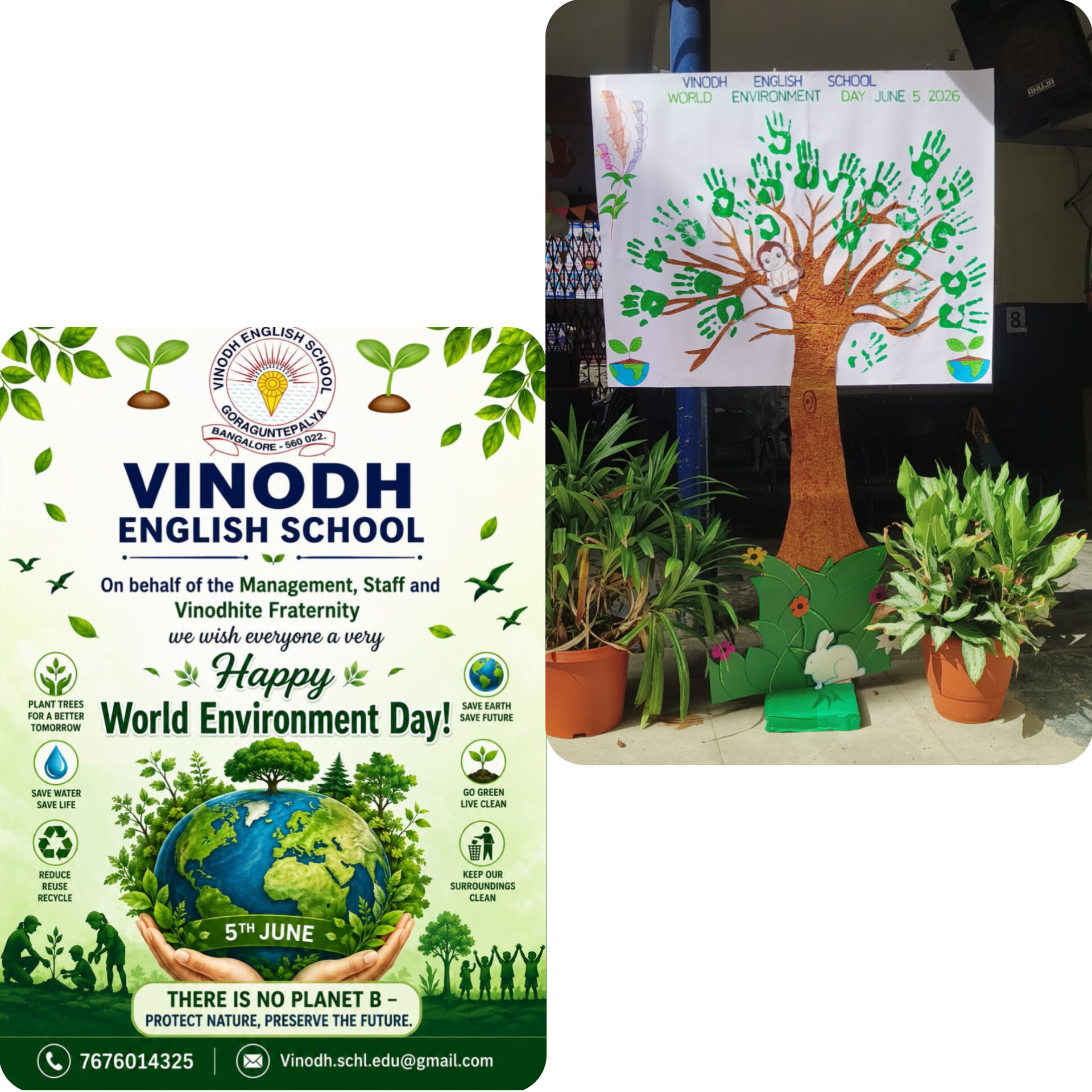 Environment Day 